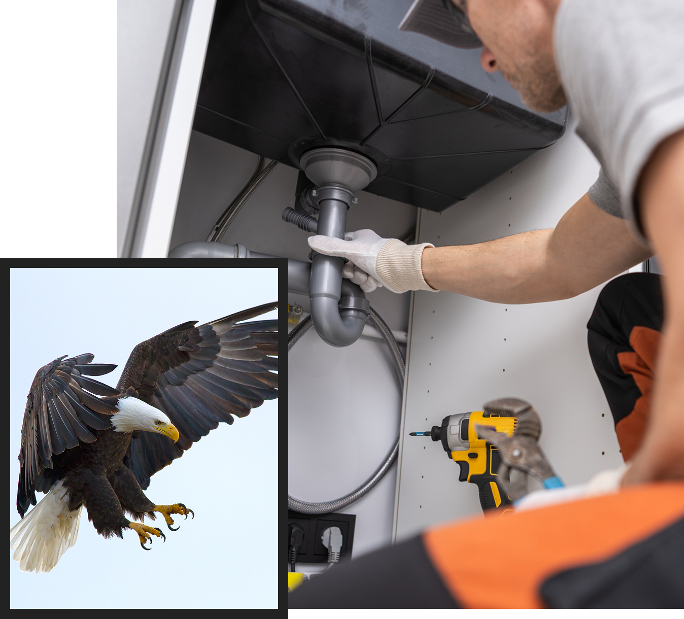 A person in work attire fixes plumbing under a sink, holding a pipe. An inset image shows a bald eagle flying, talons extended. A drill is visible next to the worker.