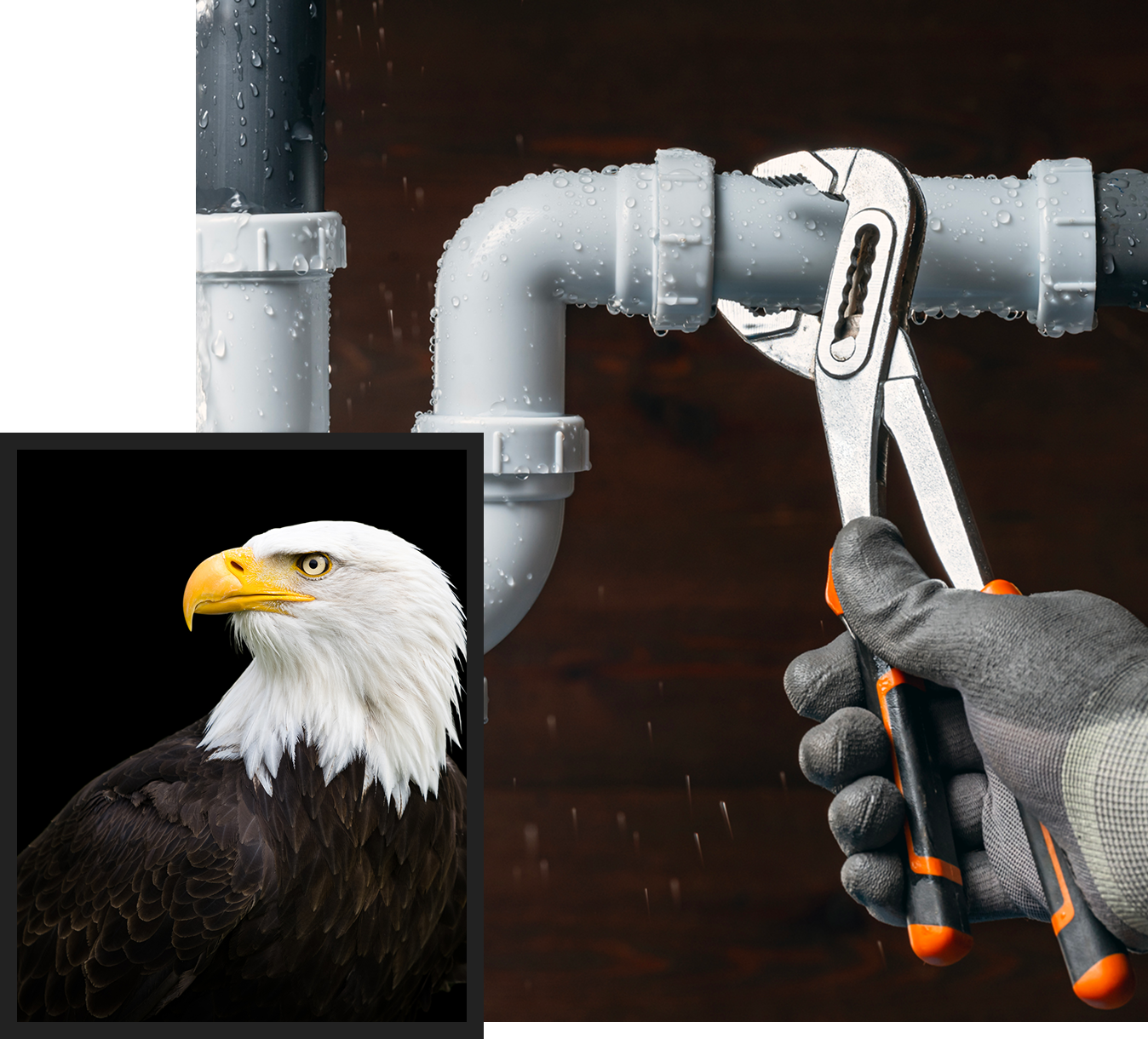A gloved hand uses a wrench on a wet pipe. An inset image of a bald eagle is in the bottom left corner.